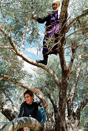 Hermesh, 2003