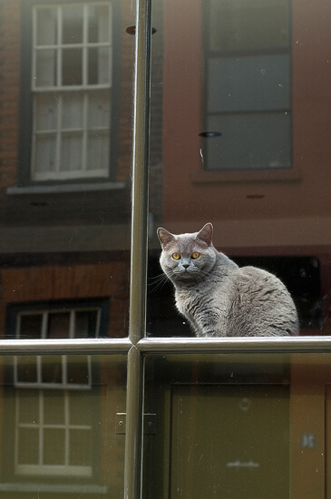 Brick Lane, London.